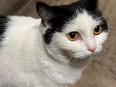 -么么咖啡(燕郊店)