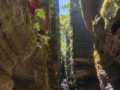 -梭布垭石林景区