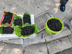 -丝绸小镇荻港古村