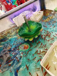 -孩子王童乐园(天津远洋乐堤港店)