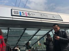 -大龙山(地铁站)