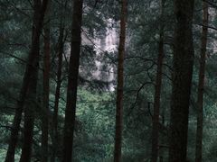 -重庆睡佛山森林公园