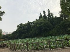 -南昌动物园