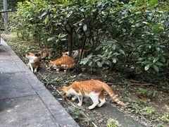 -敬亭山风景名胜区