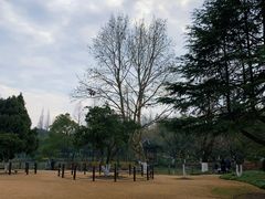 -瀛洲公园