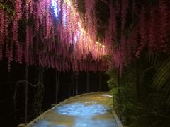 -十万大山布透温泉