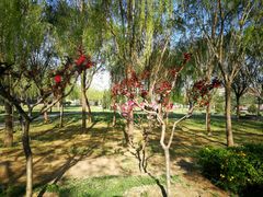 -首都师范大学(良乡校区)