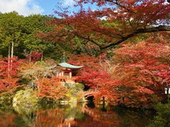 -醍醐寺