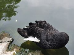-昆明动物园