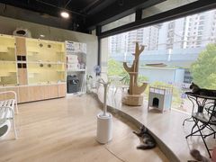 -十年猫舍·猫咪专门店(普陀店)