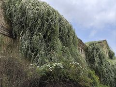 -府河摄影公园