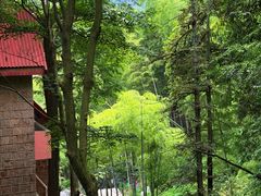 -莫干山风景区