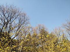 -白塘生态植物园