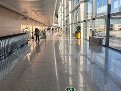 -青岛胶东国际机场