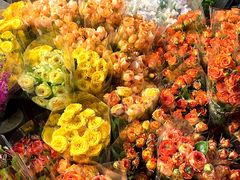 -循礼门鲜花花市(武汉循礼门店)