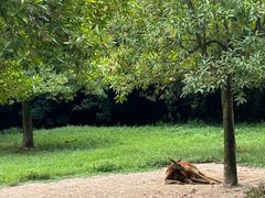 -杭州野生动物世界