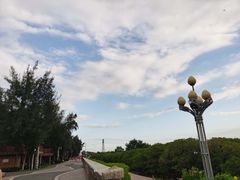 -宝安西湾红树林湿地公园