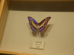 -四川宋瓷博物馆