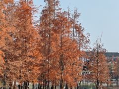 -白鹭湾湿地公园