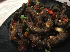 盘龙鳝-靓靓蒸虾(恩施新天地店)
