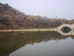 -北山公园