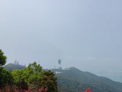 -梧桐山风景名胜区