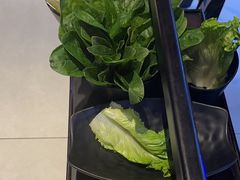 -辣伍鲜毛肚老火锅(元一店)