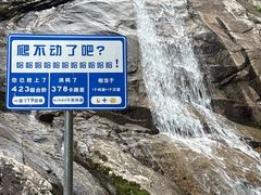 -青峰峡国家森林公园