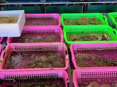 -众味海鲜大排档·活海鲜·潮汕味(南澳店)