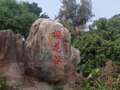 -狐尾山公园