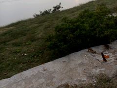 android_upload_pic-林屋洞景区
