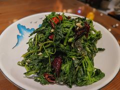 清热灰灰菜-真定郝家排骨(大十字街店)