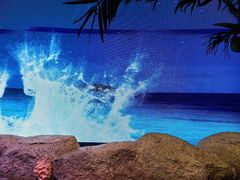 -暹罗海洋世界