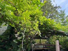 -斯多格书乡(北京大学畅春园店)