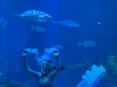 -太平洋海底世界