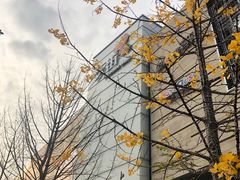 -首开·龙湖成都西宸天街
