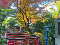 -上野公园花园稻荷神社(忍岡稲荷神社)