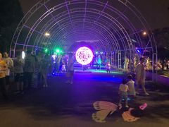 -锦江乐园舞狸花花游园会(夜场专享)