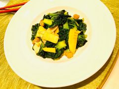 塔苦菜炒冬笋-妈妈家·本帮菜(总店)