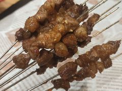 -鼎原力量东北吊炉烧烤(临河街店)