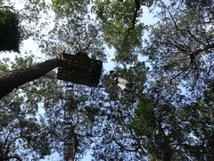 -芦仙山景区-飞越丛林探险乐园