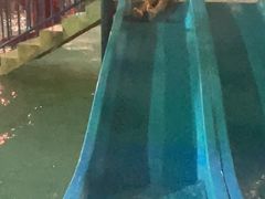 -南宫温泉水世界