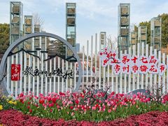 -红梅公园