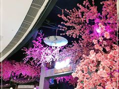 -韵秋荷(宝山龙湖天街店)