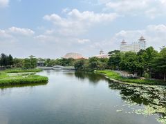 -映月湖公园