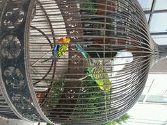 android_upload_pic-老味道民宿(栈桥店)