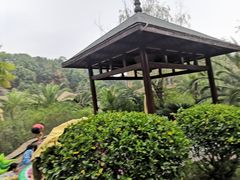 -咸宁万豪温泉谷度假区