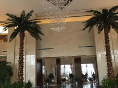 -常州环球恐龙城维景国际大酒店