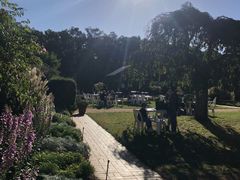 -墨尔本皇家植物园