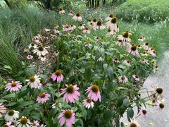 -西湖风景区-江洋畈生态公园